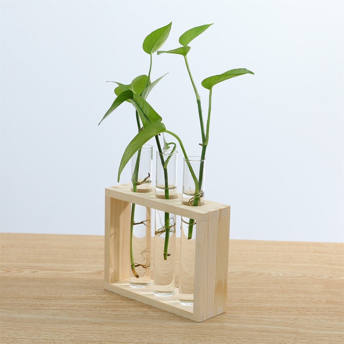 Desktop hydroponic plant vase